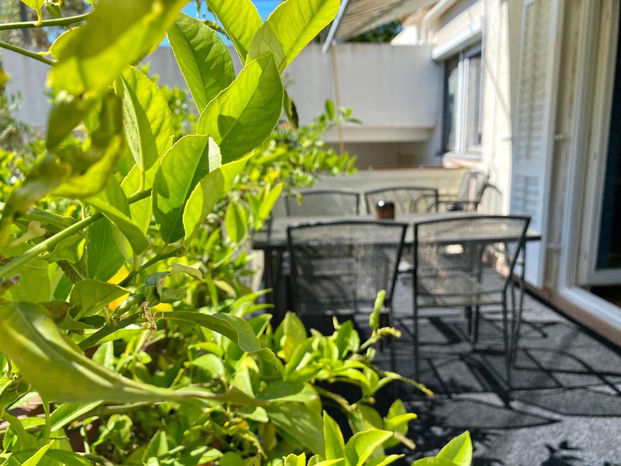 Apartments Cala ビオグラード・ナ・モル エクステリア 写真