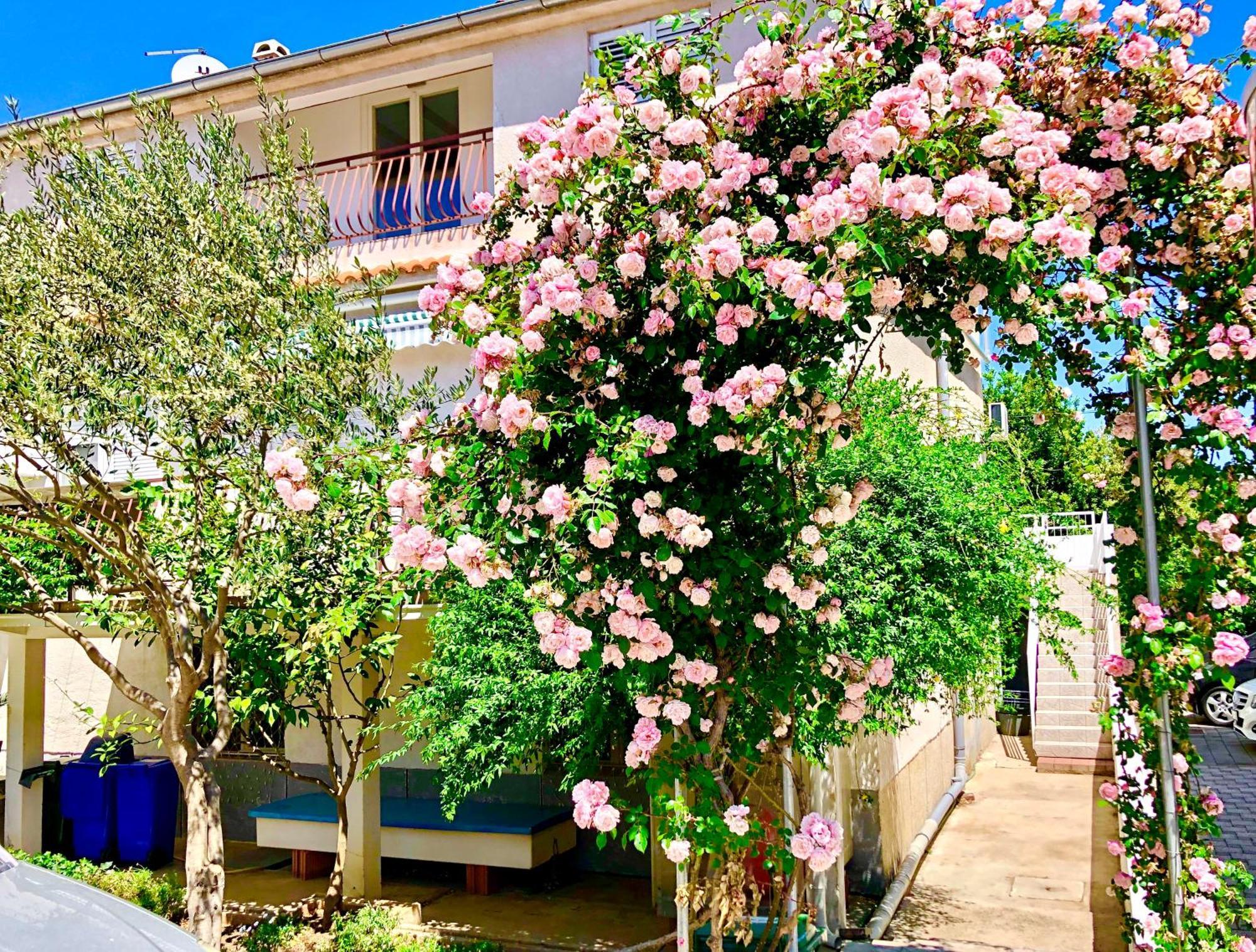 Apartments Cala ビオグラード・ナ・モル 部屋 写真